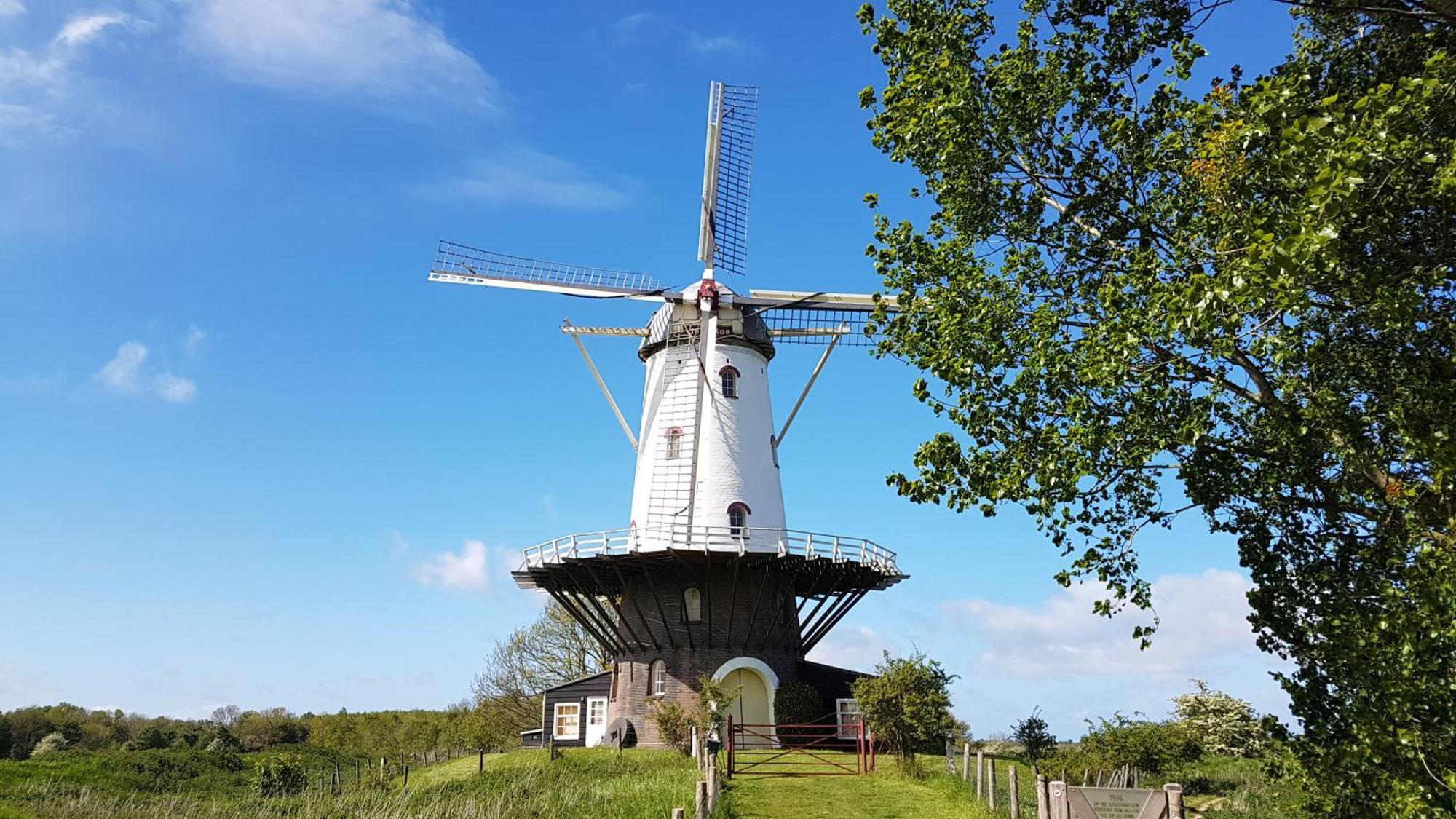 Olmenduin Chalet Olm Zeeland Serooskerke  Dış mekan fotoğraf