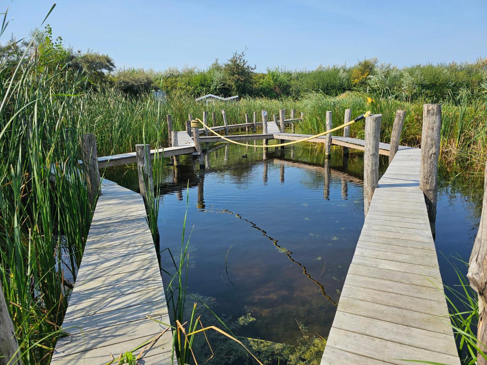 Olmenduin Chalet Olm Zeeland Serooskerke  Dış mekan fotoğraf