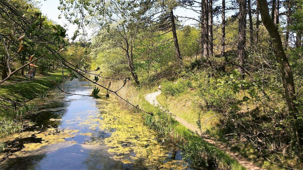 Olmenduin Chalet Olm Zeeland Serooskerke  Dış mekan fotoğraf